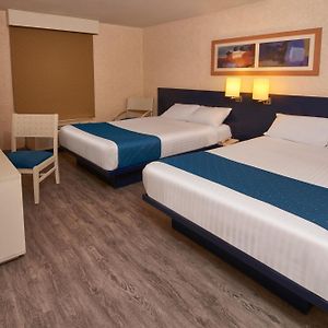 Double Room Two Double Beds